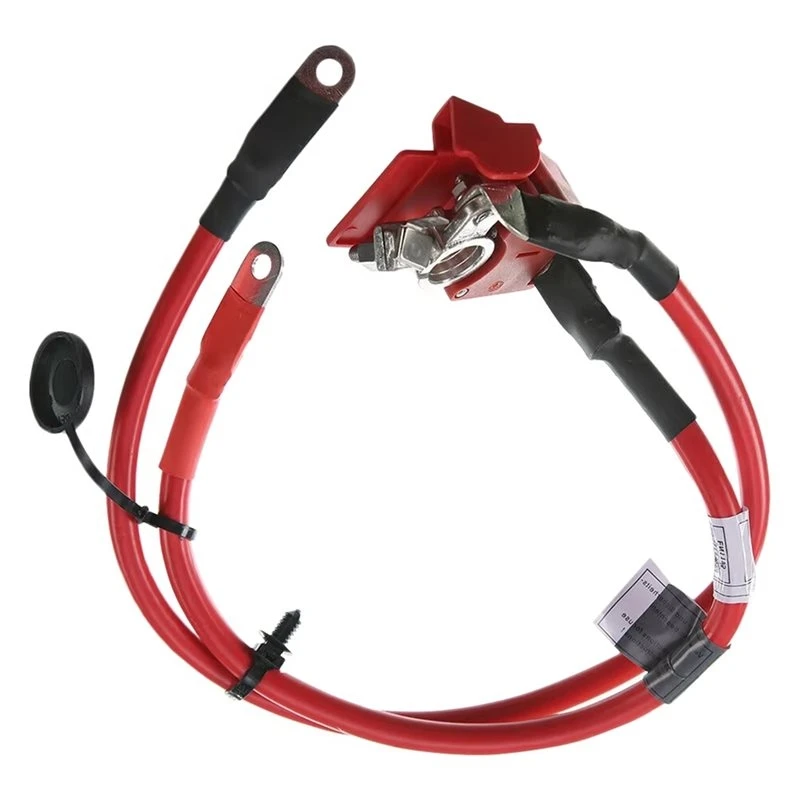 1Pc Car Battery Fuse Cable Positive Battery Cable For BMW F20 F21 F22 F23 118I 220I 228I F87 M2 61129253111