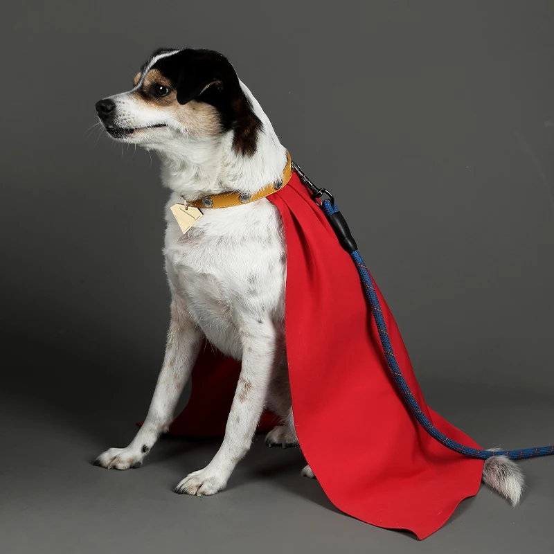 

Pet Dog Cape loween Cosplay Little Kryptonian Costume Accory Star Rain Chen Comics Series Pet Costume Part