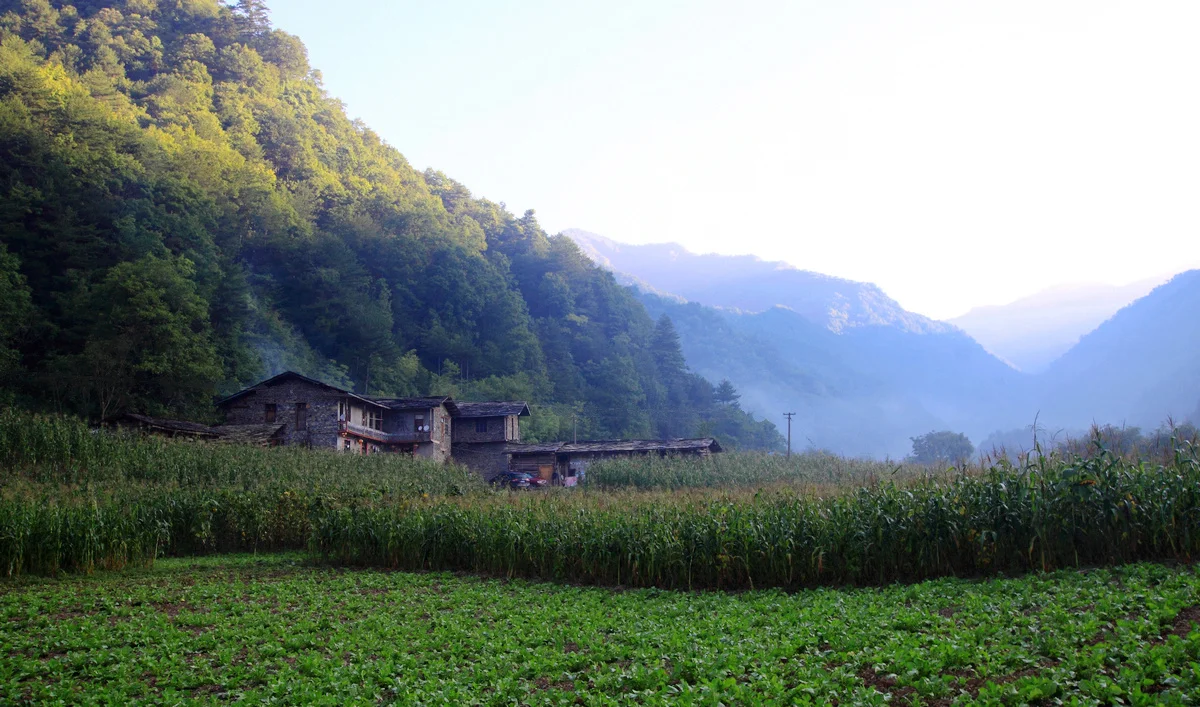 Pour 1/18 TRX4M RC pièces de mise à niveau de voiture sur chenilles boîte de vitesses de Transmission en métal boîtier de boîte de vitesses