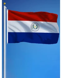 60x90cm 90x150 Paraguay Flag Banner Tapestry