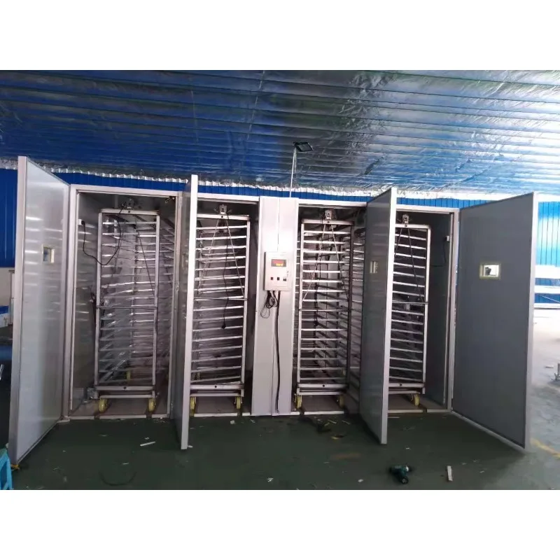 Poultry Incubator Machine Custom 20000 Egg Capacity Hatcher Automatic Hatching System for Chicken