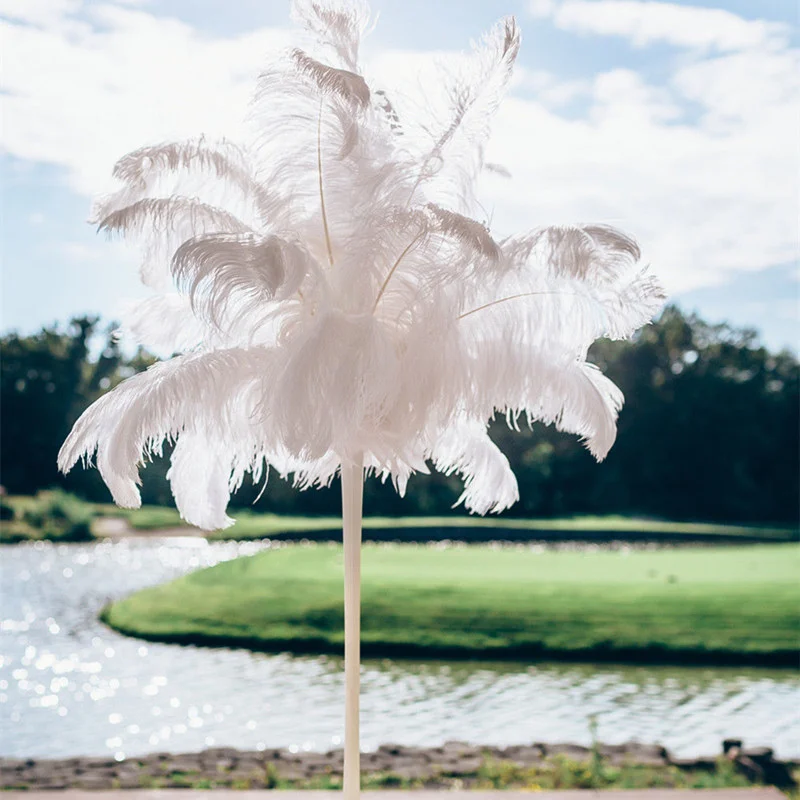 手作りの天然ダチョウの羽,結婚式の装飾,カーニバルパーティー,15〜60cm, 10個