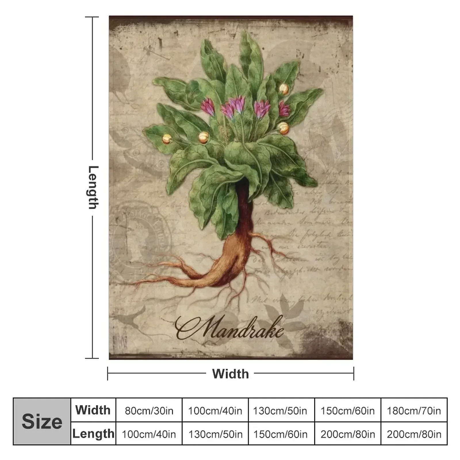 Mandrake Plant Vintage Botanicals Garden collection Throw Blanket Loose anime Beach Luxury Thicken Blankets