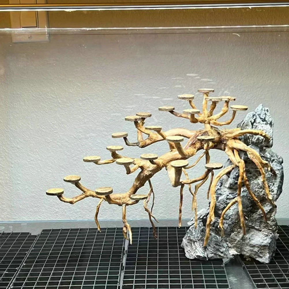 50 Pcs Aquarium Tank Raw Materials Coconuts Shell Decoration Elements Fish Accessories Sand Table Miniature Nature Model Discs