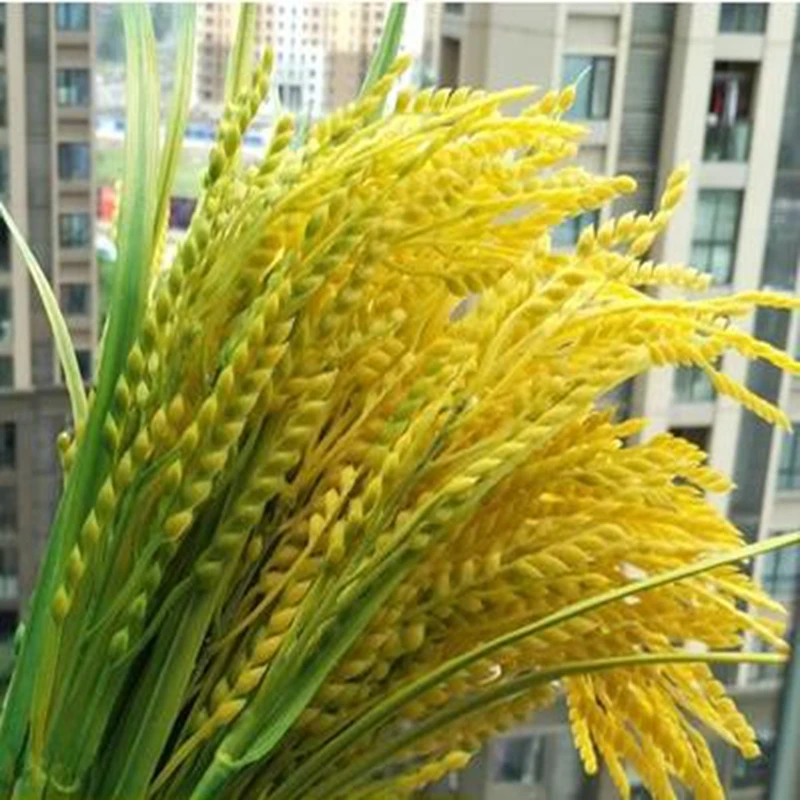 High rice rice wheat rice crop simulation false false dried rice wheat.The new plastic flower flower pot multiselect simulation