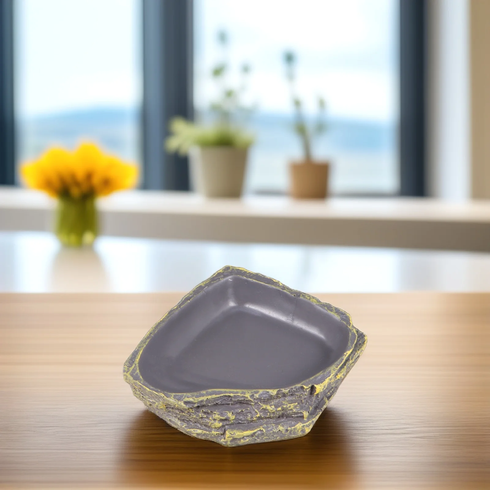 

Rock Food Pot Reptile Feeding Bowl Thick Design Easy Cleaning Lizard Supplies Spider Dish Slope Small Animals Safe Durable