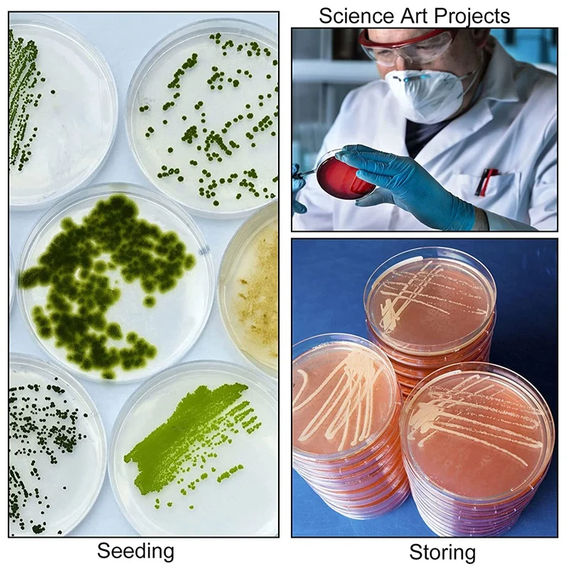 Juego de platos de Petri con tapas, juego de platos de Petri con 100 pipetas de transferencia de plástico (3Ml), Kit para proyectos de feria de ciencia escolar