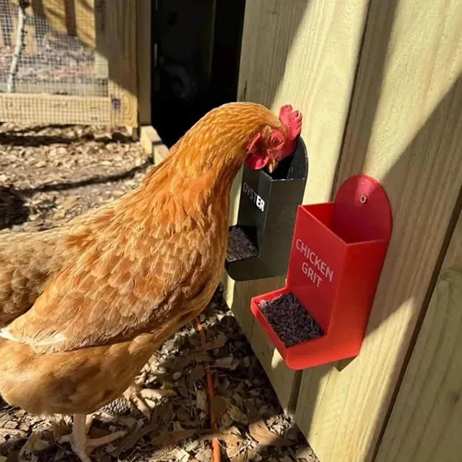 Alimentador de ostras y granos para pollos, contenedor de comida para patos, recipiente de alimentación para pollos colgable para patio trasero de granja, 2 piezas de comida para patos