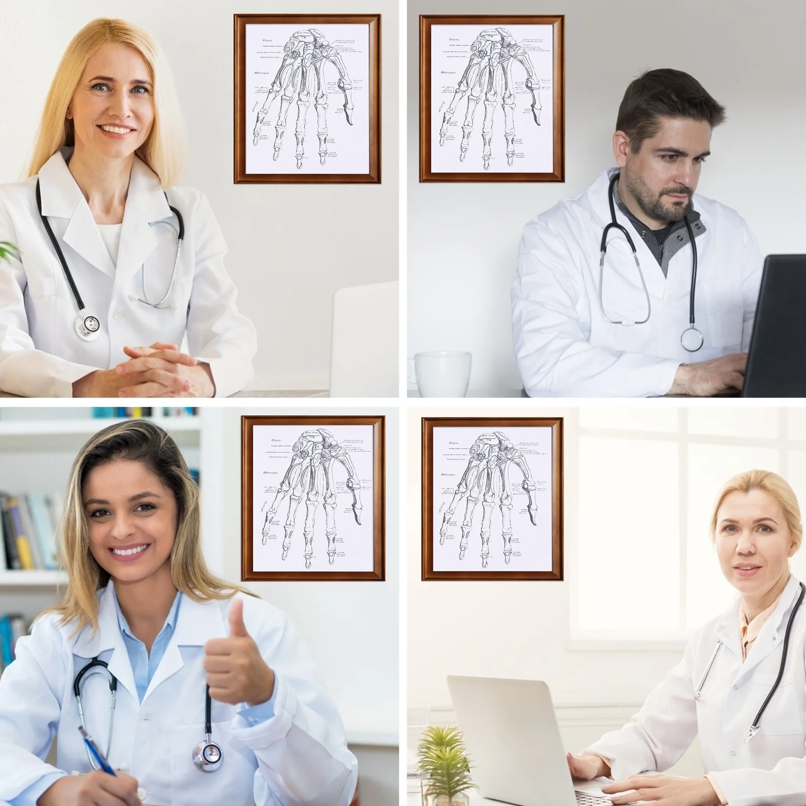 

1Pcs Human Anatomy Wall Poster High Grade Material Body Teaching Chart Easy to Read Laboratory Classroom Study Chart