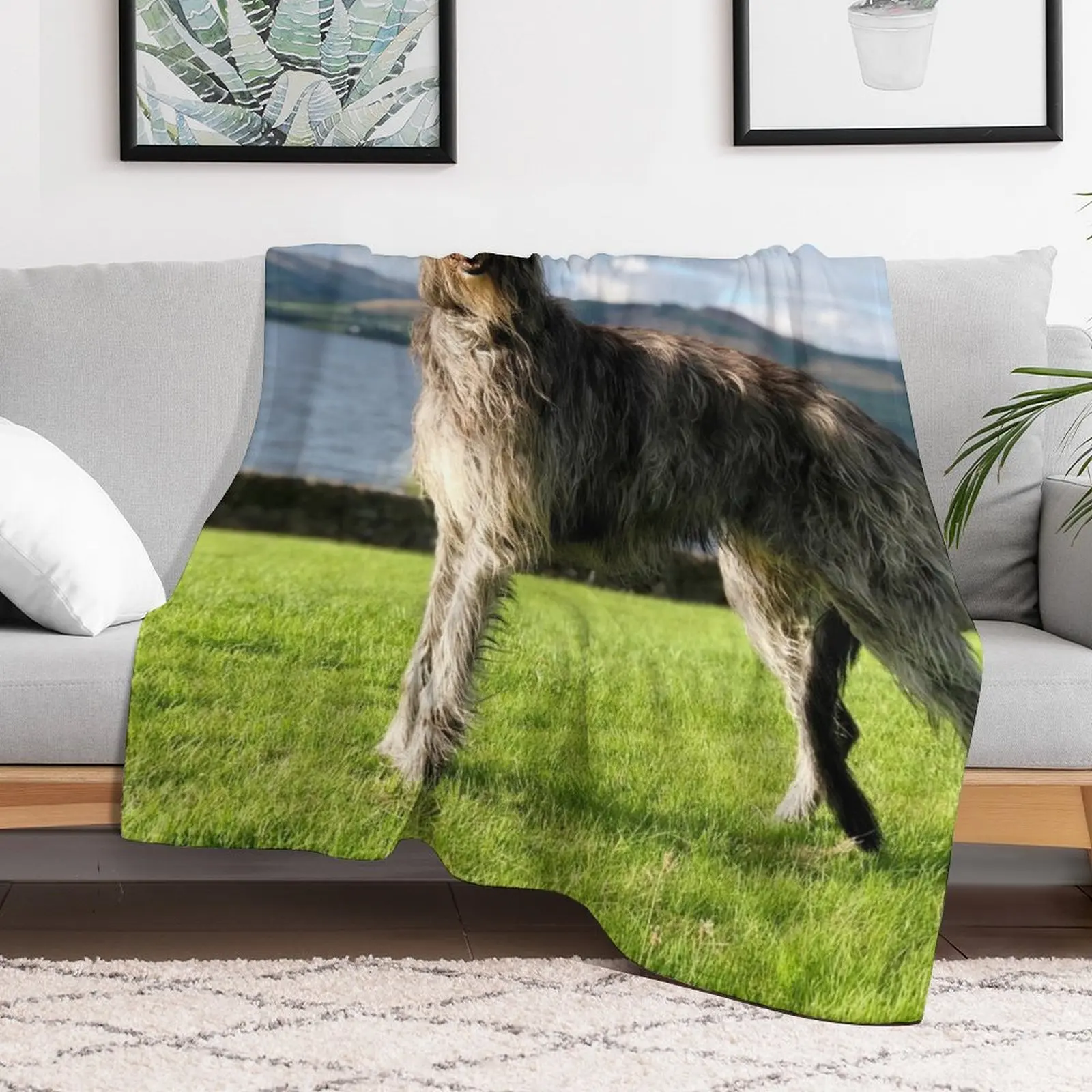 Stunning Scottish Deerhound in Scotland Throw Blanket Thin Soft Plaid Decorative Beds Blankets