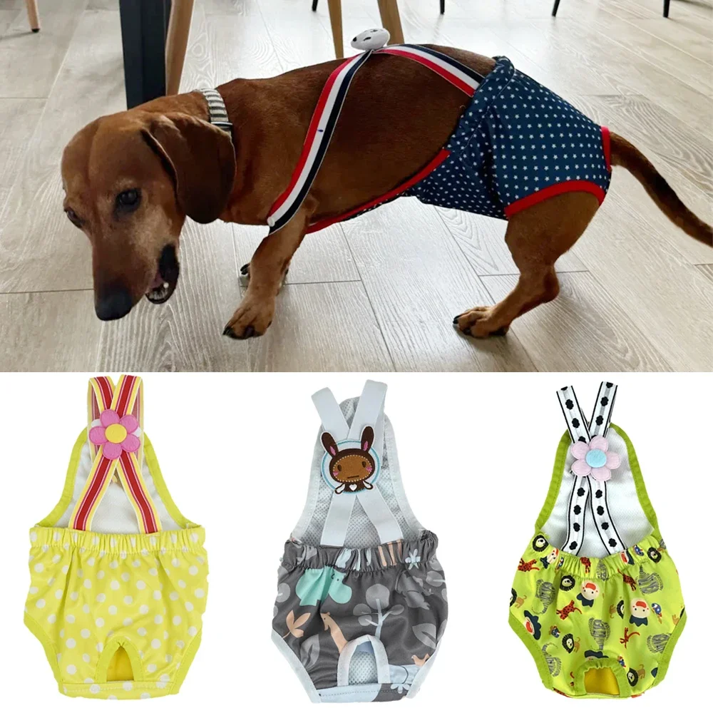 Pañales para perros lavables, pantalones fisiológicos con estampado de dibujos animados bonitos, ropa interior para pañales para perros, bragas sanitarias para perros, pañales para perros