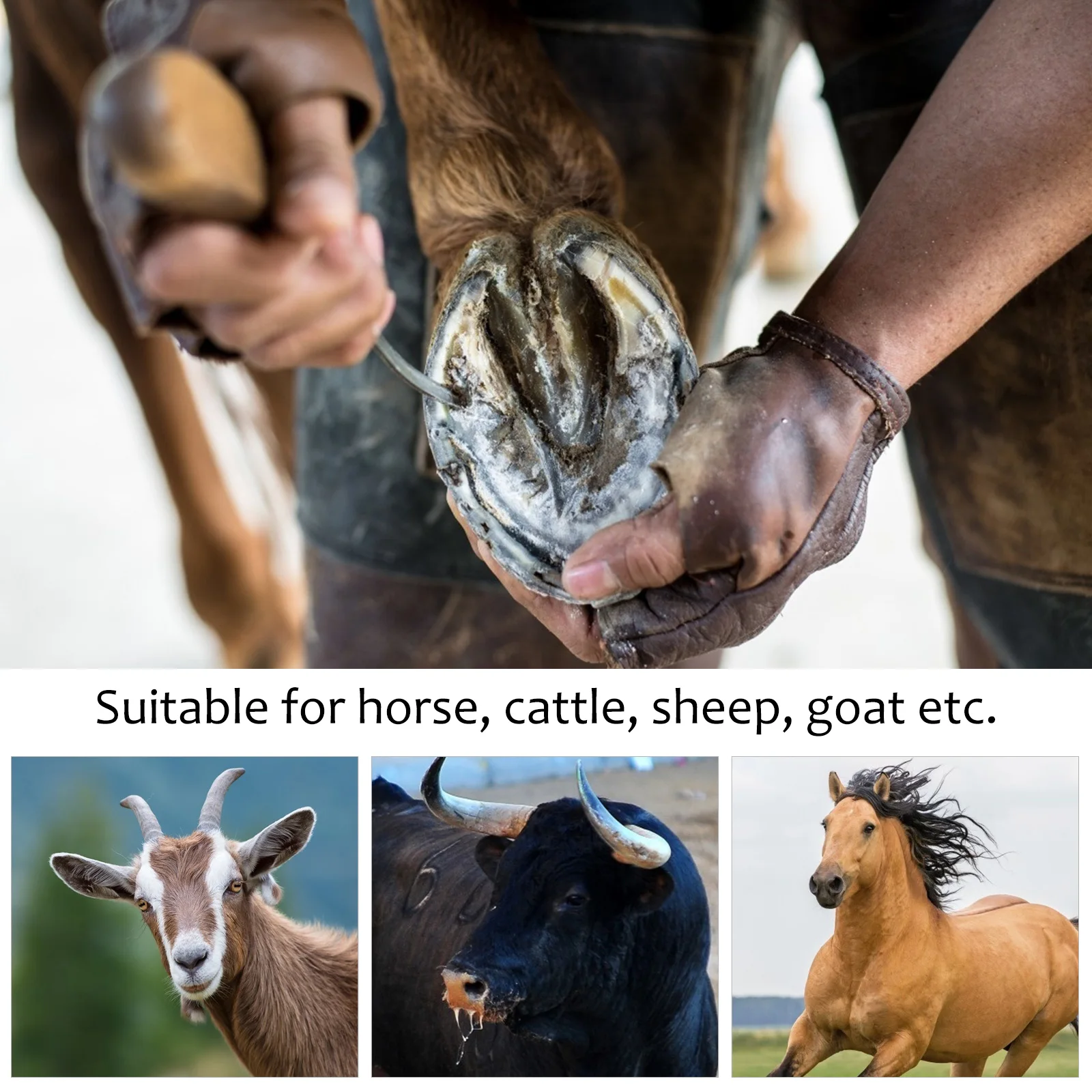 

1pc Hoof Trimmer Stainless Steel Lightweight Portable Horseshoe Tool Animal Foot Cutting Repair File Cattle Sheep