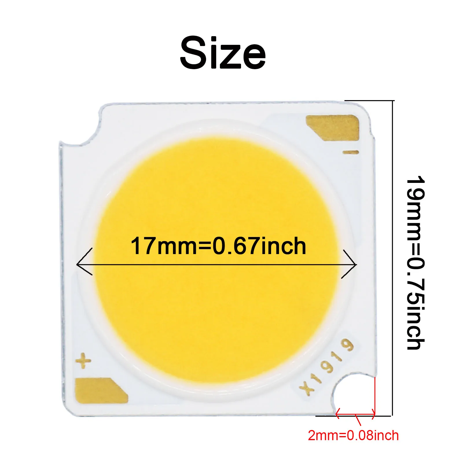 5 Stuks Hoog Vermogen 12W 15W 18W 20W 24W 30W 36W Bridgelux Cob Led Chip 19Mm Lamp Beadsdiode Voor Diy Spotlight Downlight Schijnwerper