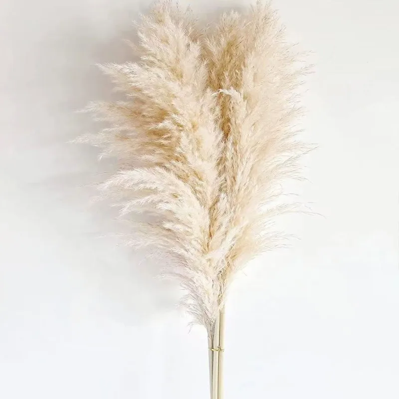 

Pampas Grass Large 80-120cm Reed Dried Flowers Wedding Bouquet Home Decor Tall Fluffy Stems Living Room Garden ​Decoration