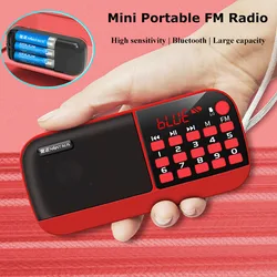 Mini Portable FM Radio High Sensitivity Radios Receiver Wireless Bluetooth Speaker with Lanyard Antenna Dual TF Card Music Playe