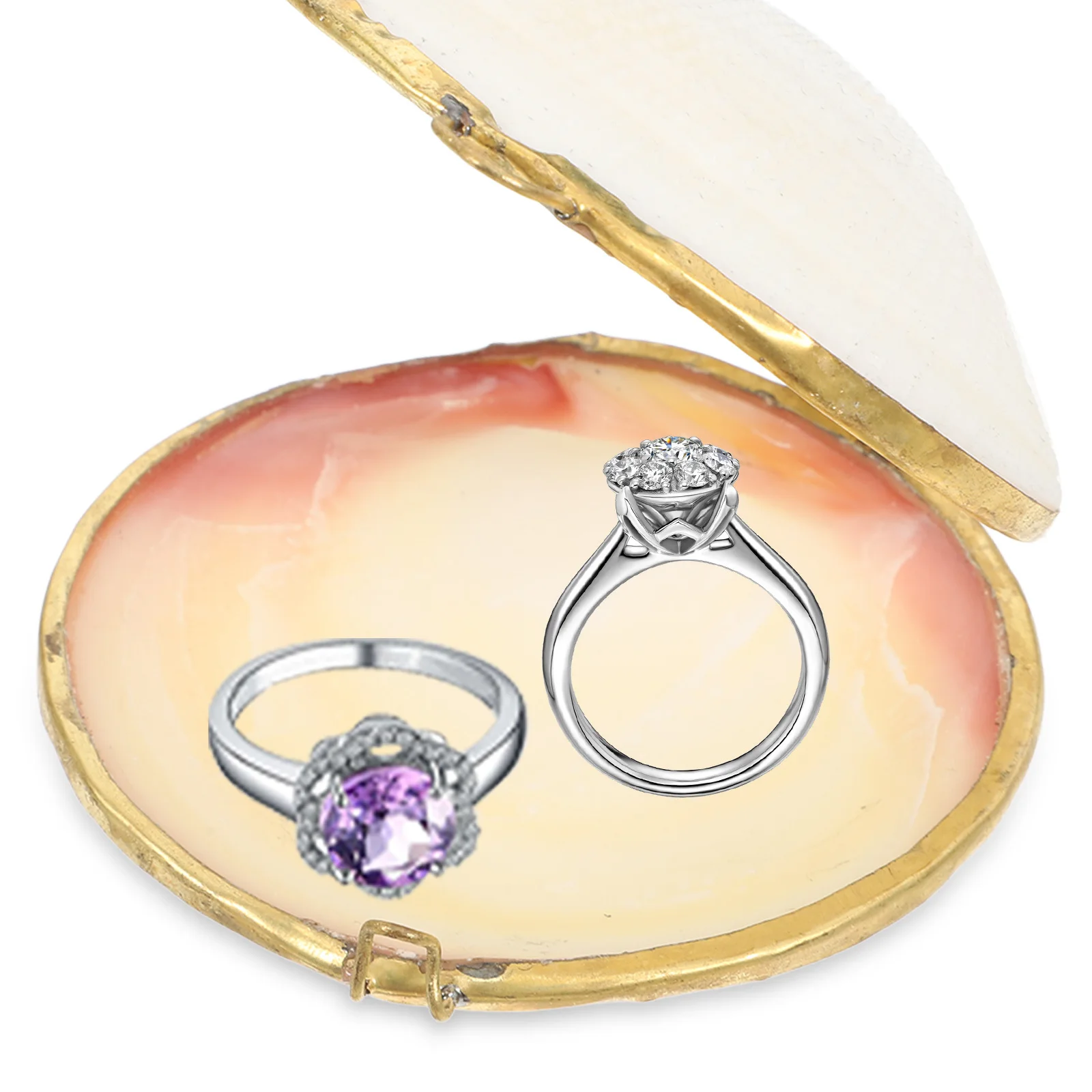 5pcs shell jewelry case jewelry storage case jewelry storage container jewelry storage box earring box