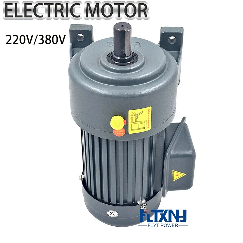 

Electrical Marathon Motor Phase Asynchronous Electric Motor With Reducer 220V 380V Voltage Motor With 300RPM 500RPM Gearbox