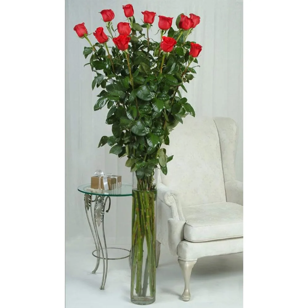 مزهرية أسطوانية زجاجية شفافة، 5 قطر، 20 طولًا، حاوية زراعة زهور لترتيبات قطع مركزية لحفلات الزفاف، أنيقة طويلة
