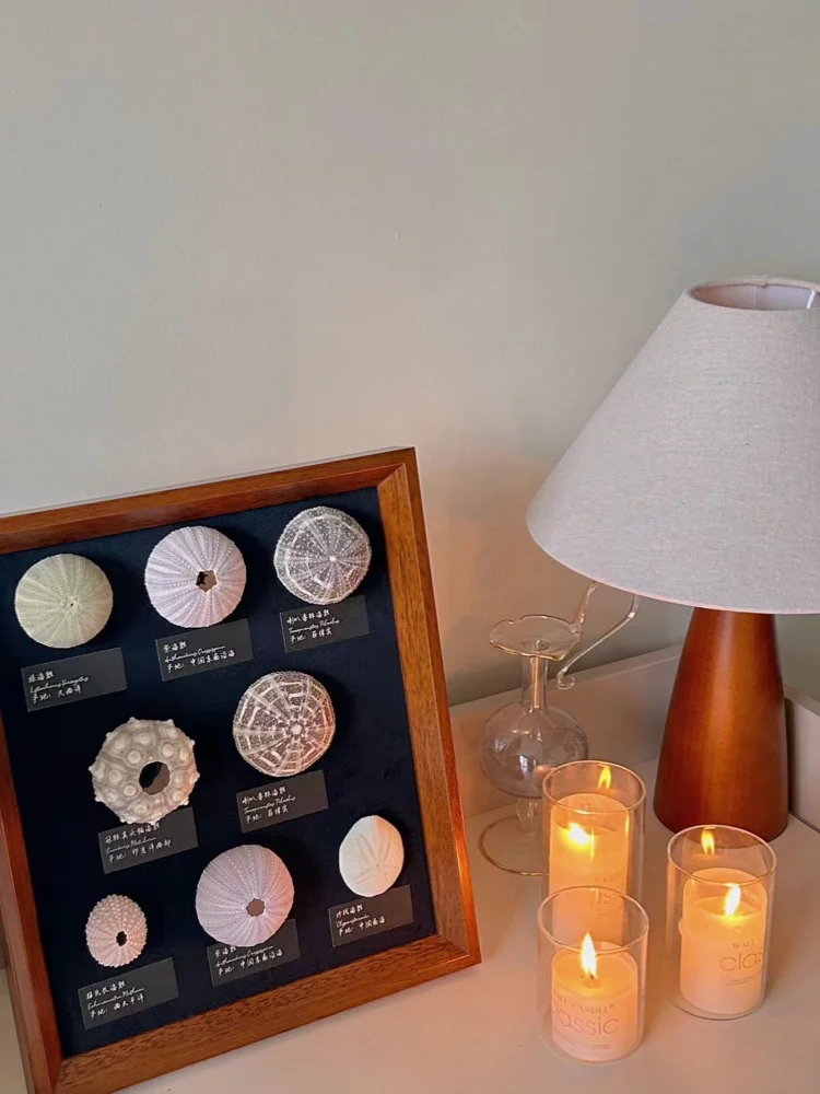 

Decorative Sea Urchin Lamp Sample Soft Decoration Boys Display Piece Artwork Birthday Gift Hanging Painting Retro Vintage Sle