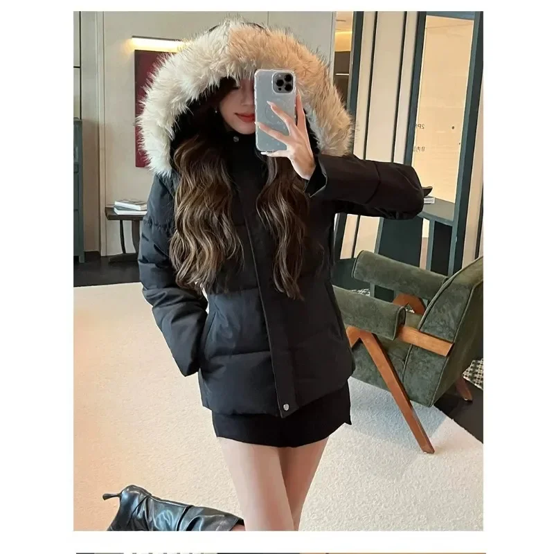 Waist-cinching Slimming Cotton-padded Jacket for Women Winter Wool-collar Fitted Thickened Hooded Cotton-padded Jacket New Style
