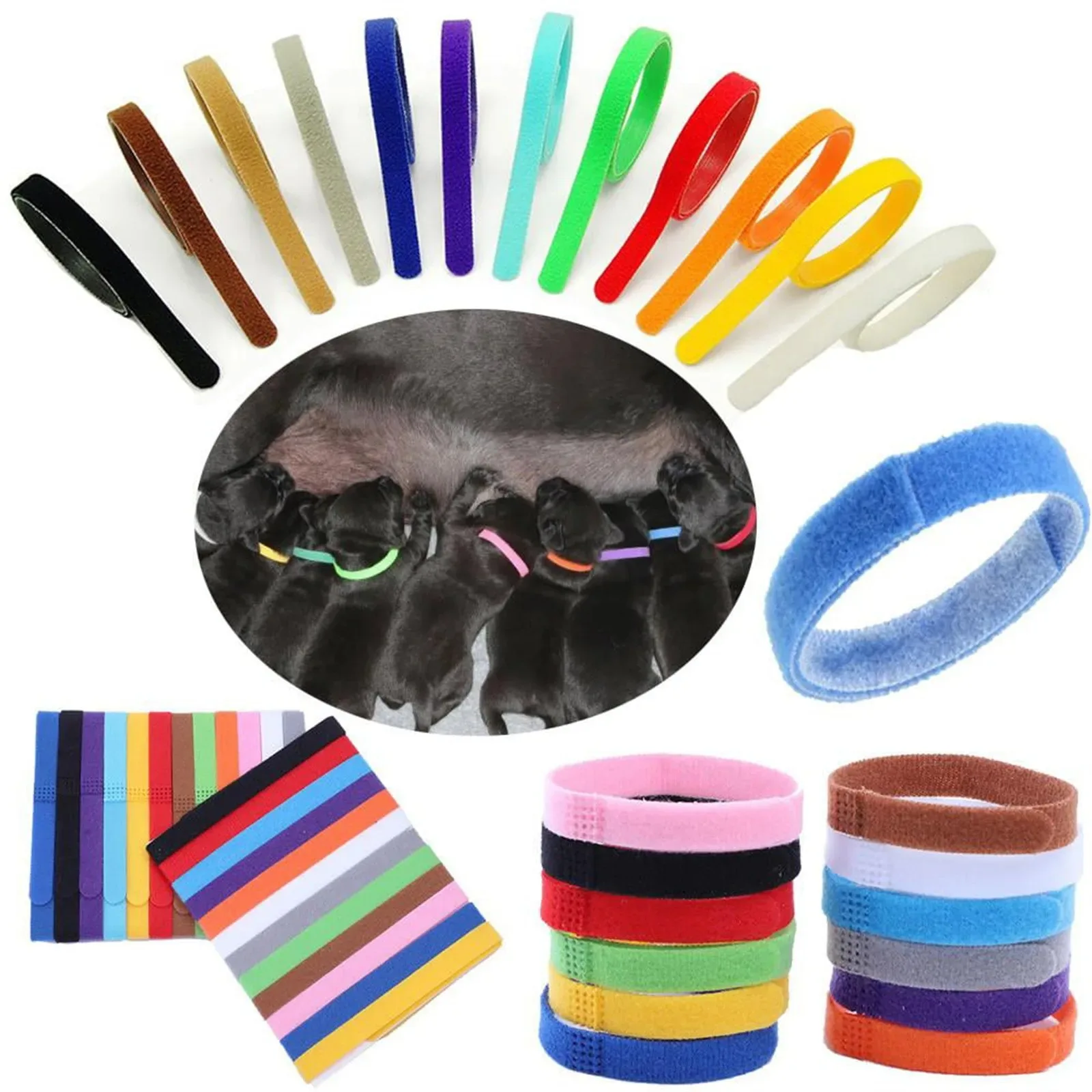 12 Pcs Puppy Whelping Collars Newborn Pet Collars Double-Sided Soft Adjustable ID Bands Puppy Id Collars For Newborn Pet Dog Cat