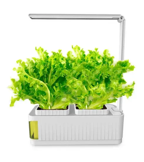 

Grow box Plastic greenhouse with hydroponics growing system farming home hydroponic growing systems