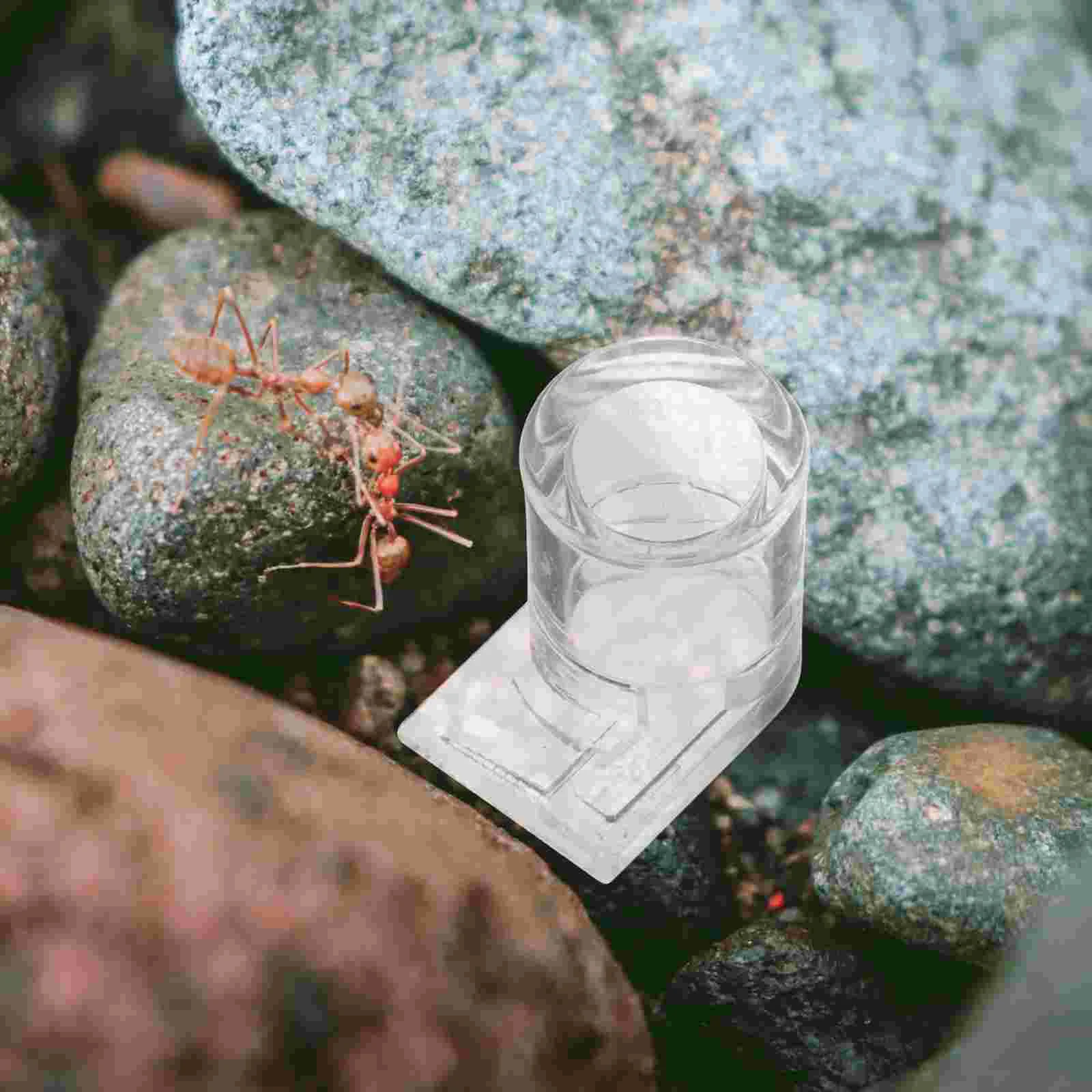 

Pet Feeder Ant Water Nest Formicarium Ants Feeding Bowl Clear Farm Transparent Habitat
