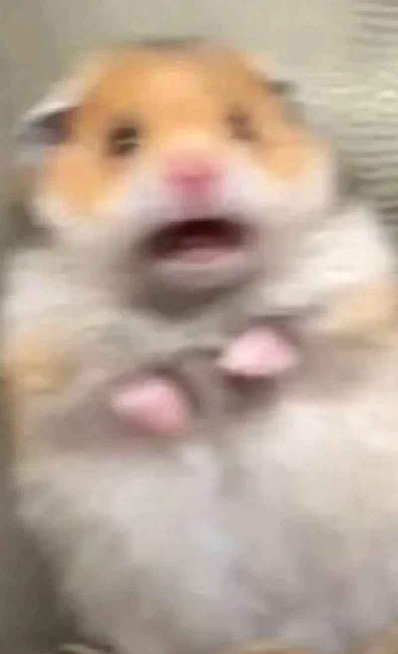 

Creative Design Vinyl Car Stickers Waterproof Decals for SUV Truck Van Travel Auto Decor Funny Accessories