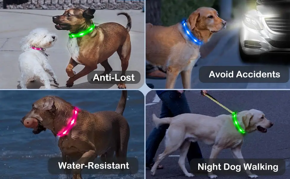 New Led Luminous Dog Collar PVC Waterproof , For Large Medium Small Dogs Collar Usb Light Night Safety Pet Glowing Accessories