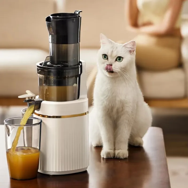 Slow Masticating Cold Press Juicer Whole Fruit Extractor High Juice Yield BPA Free Easy Clean Large Feed Chute Kitchen Appliance