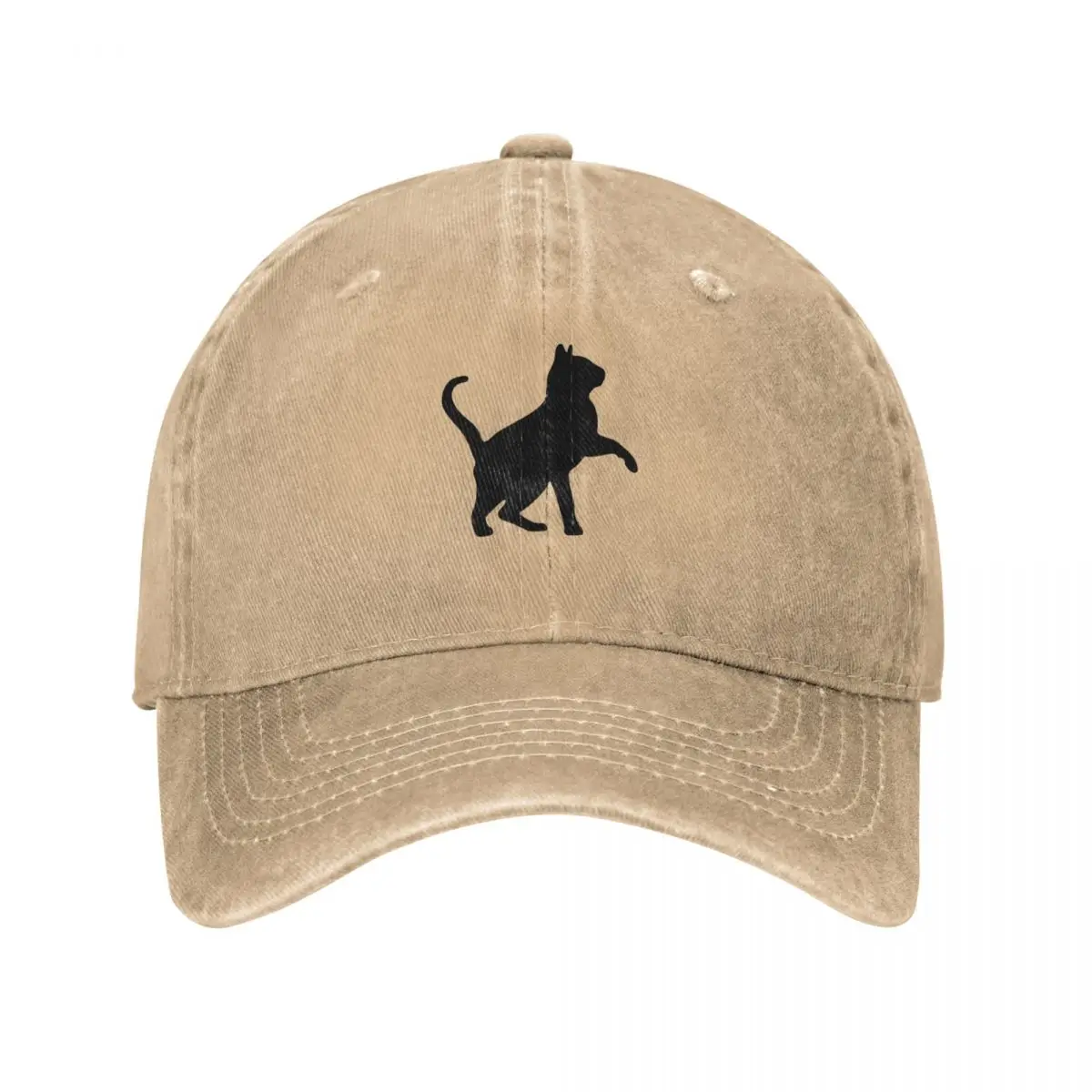 Black cat with long hair and long tail Baseball Cap Hood derby hat Golf Wear For Girls Men's