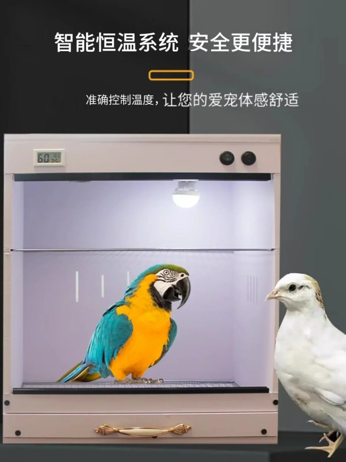 

Tiger Skin Peony Parrot Pet Birds Duck Rutin Chicken Insulation Feeding Box Brood