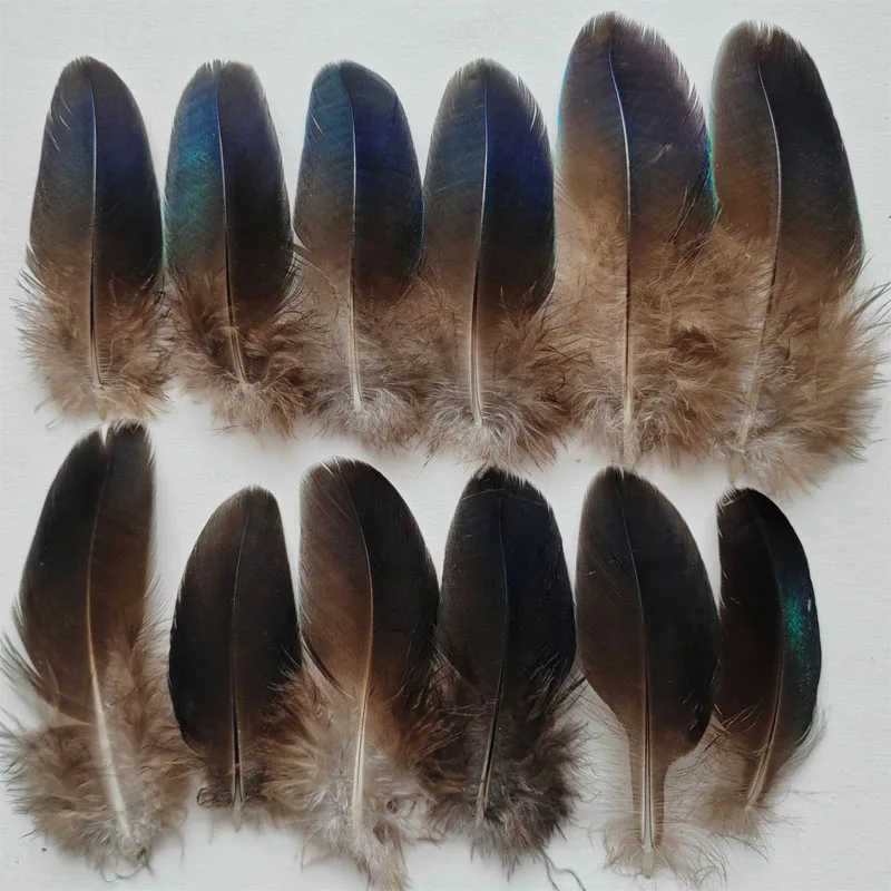 20Pcs/lot!4-10cm long Rare BLUE PEACOCK PLUMAGE WING FEATHERS LOOSE PEACOCK FEATHERS for Making Handicrafts