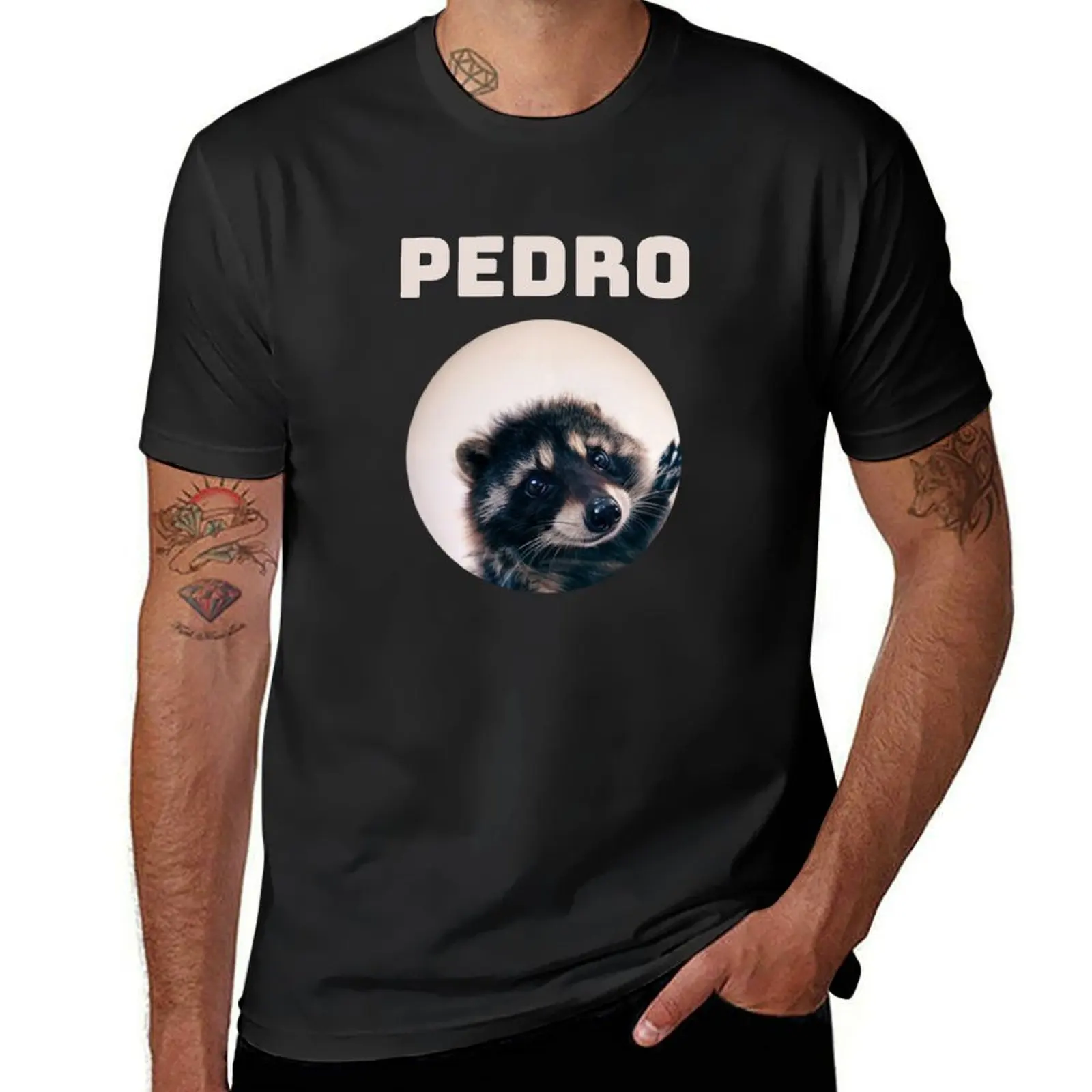 Pedro Racoon Dance Popular Internet Meme Mapache Dance T-Shirt for a boy summer clothes sublime mens workout shirts