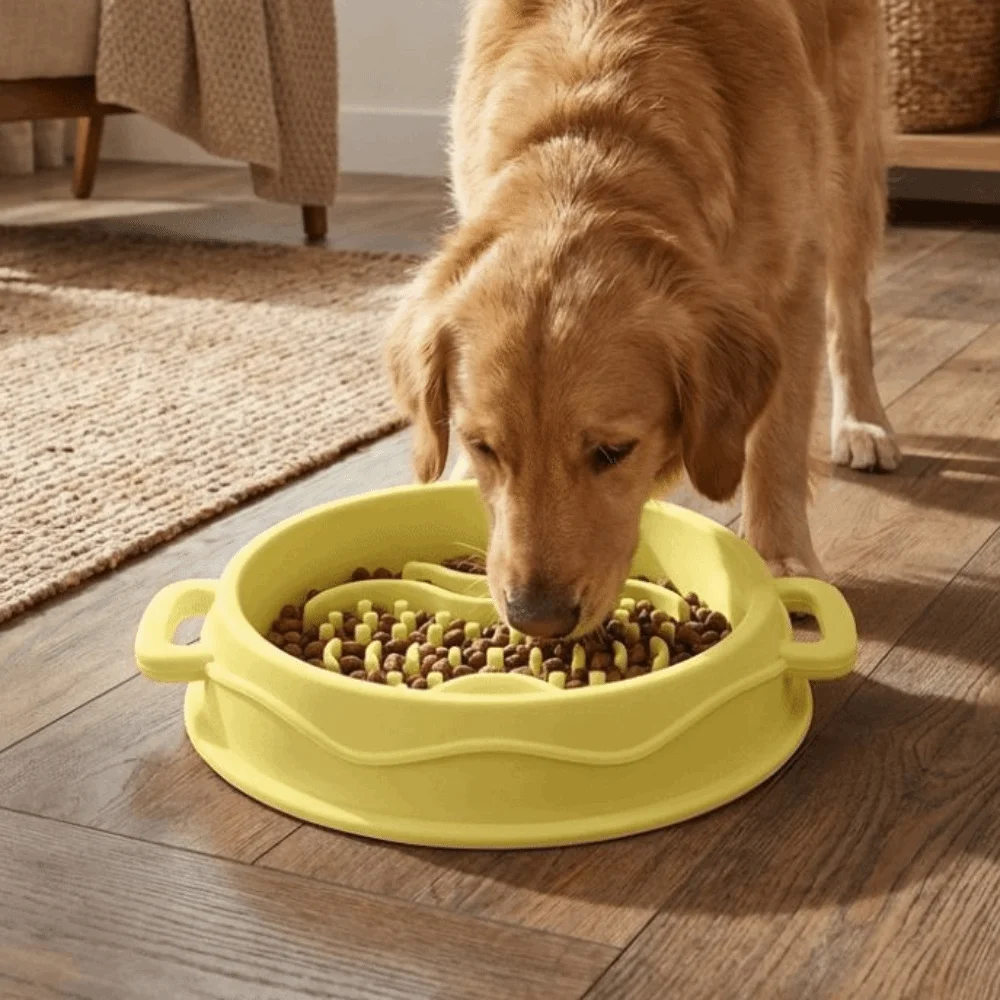 Silicone Dog Slow Feeder Bowl Dual Handles Anti-Flip Dog Treat Bowl with Suction Cup Anti-choking Anti-Choke Bowl Pets Training