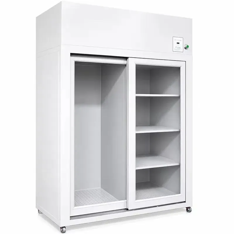 Clean Room HEPA Filter Storage Cabinet 99.99% Filtration Efficiency Dust Free Design for Laboratory Industrial Use