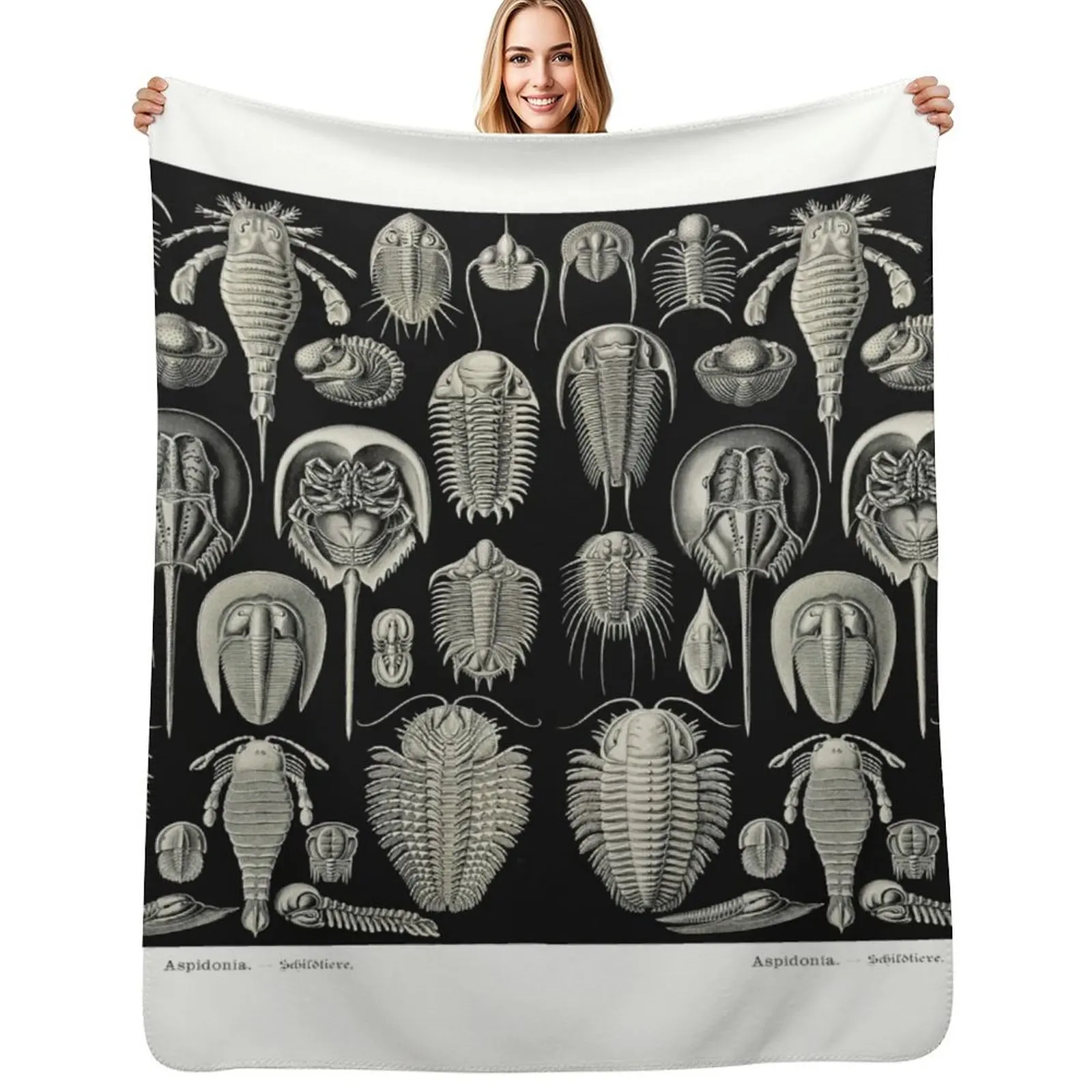 

Plate 47. Trilobites and Sea Scorpions Throw Blanket Beach anime Decorative Beds Hairys Blankets