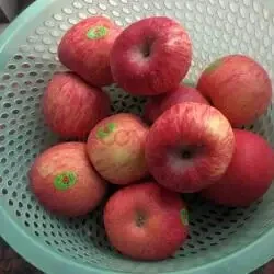 

Twin Cat Car Sticker Simple Line Art for Cat Lovers! Decorate Windows/Body, Add Feline Charm. Durable, Weather - Resistant.