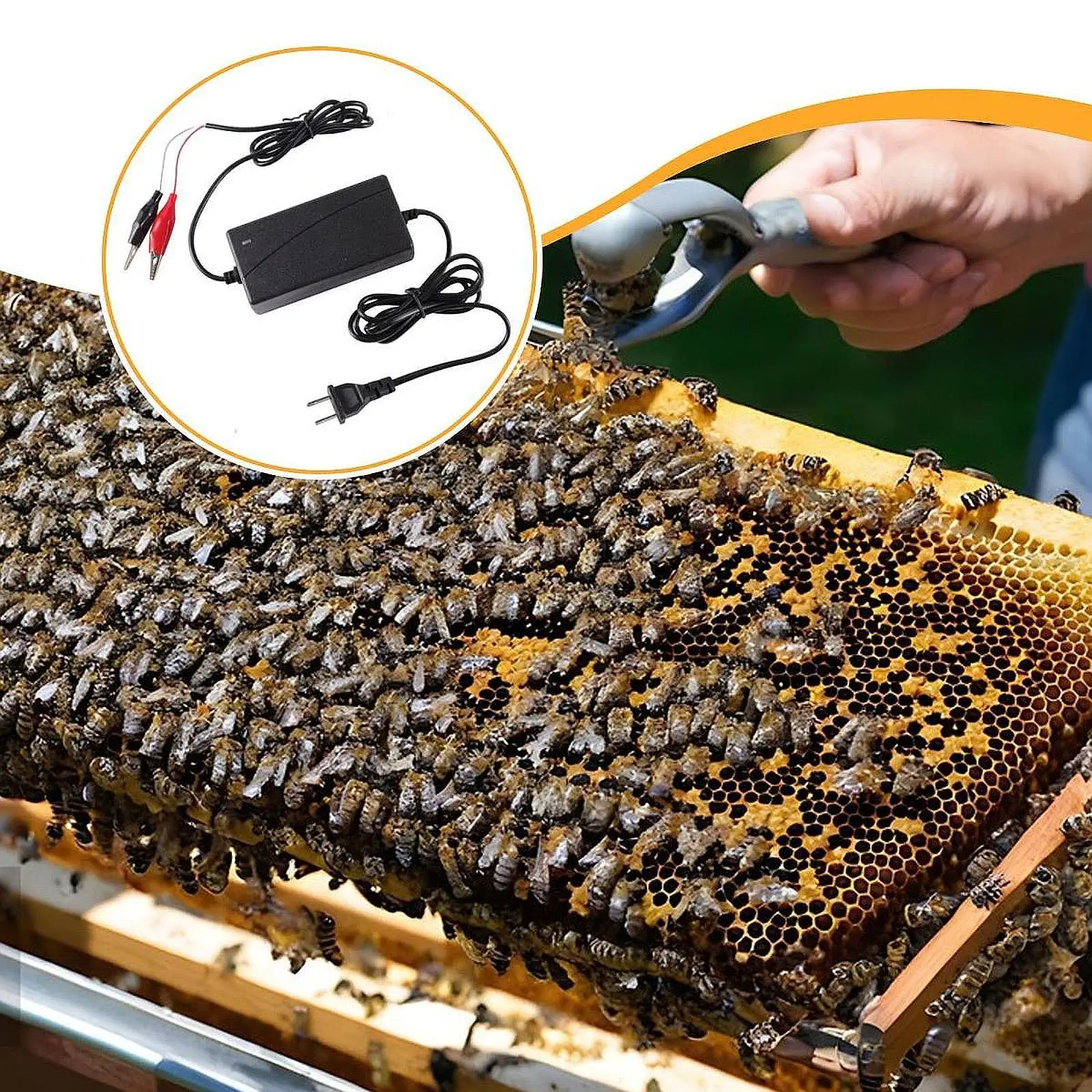 Electric Embedder Beehive Installer Equipment Practical Lightweight Easy to Use Apiculture Beekeeper Tool Frame Wire Embedder