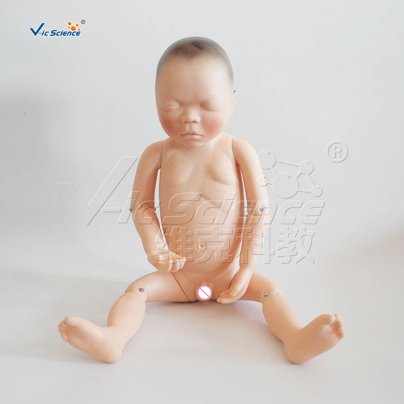 

PVC Newborn Baby Model for Medical Study