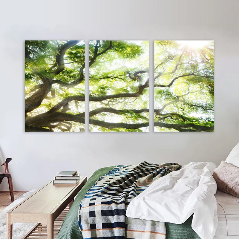 3 Pieces Tree Sunshine Posters Canvas Print Modern Home Decor Landscape Painting Wall Art Pictures for Living Room No Frame