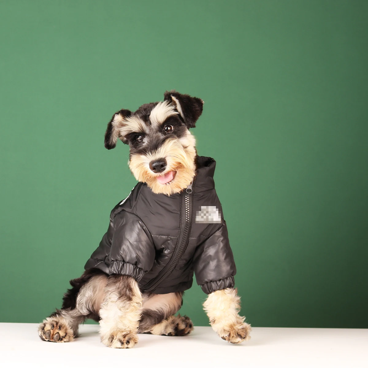 Große Winter-Hundekleidung für Französische Bulldoggen, Warme Winddichte Jacke für Kleine und Mittlere Hunde, Reflektierender Mantel für Chihuahuas, Haustier-Outfits – Detail 12