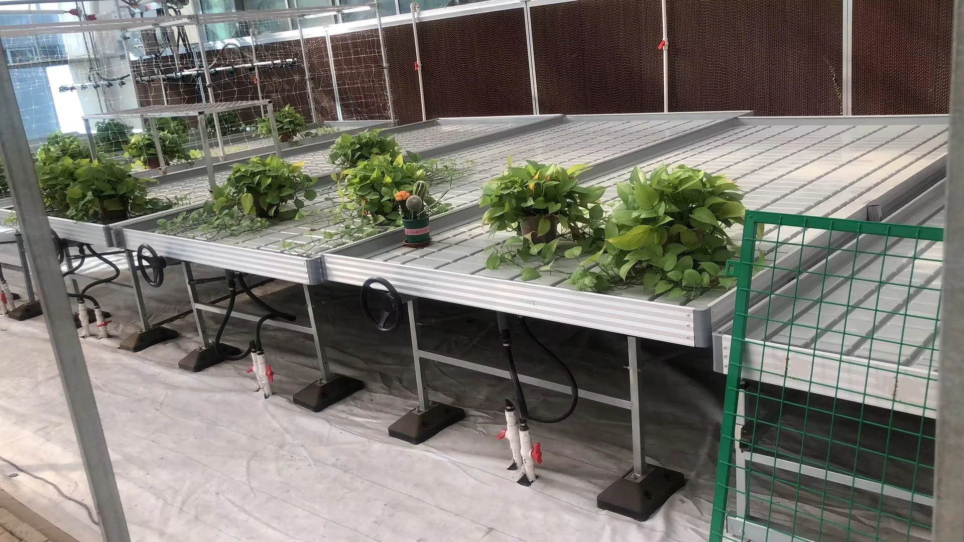 Adjustable Length Ebb and Flow Multi Layer Rolling Bench Grow Table for Greenhouse