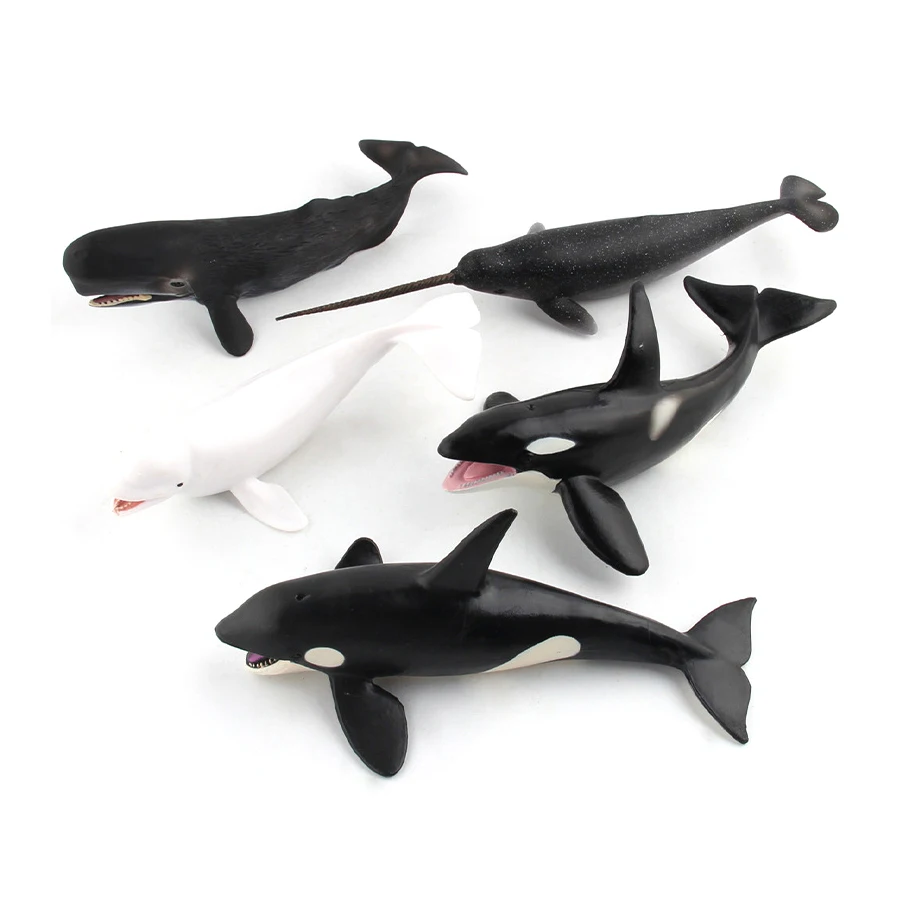 Realistic Humpback Whale Sperm Whale Narwhal Killer Whale Sea Life Animals Model Action Figures Education Decoration Toys view 5