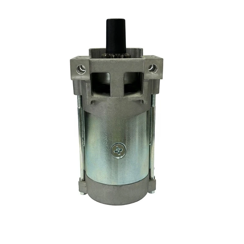 

10 teeth 136-7880 127-9209 133-9828133-1564 Lawn mower starter motor for Toro