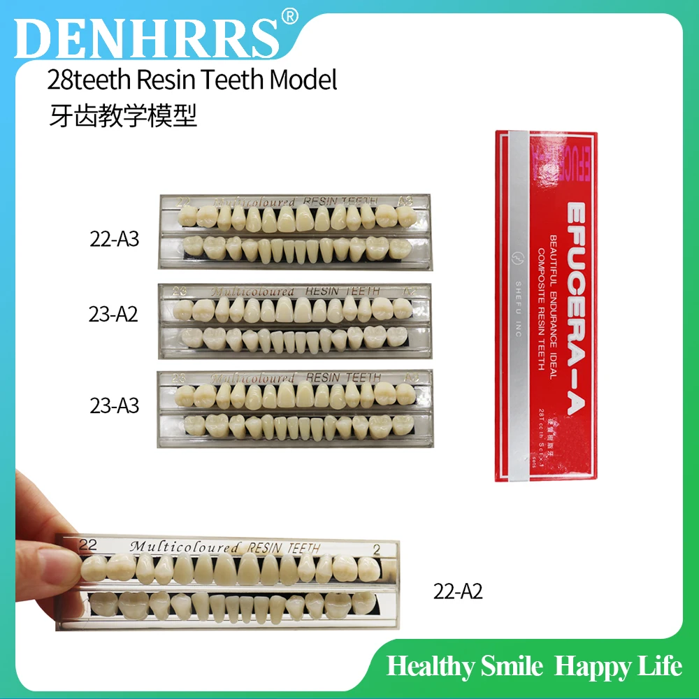 28teeth Resin Denture Teeth Dental Synthetic Resin Teeth Teeth Teaching Model Permanent Teeth Model Dental Material