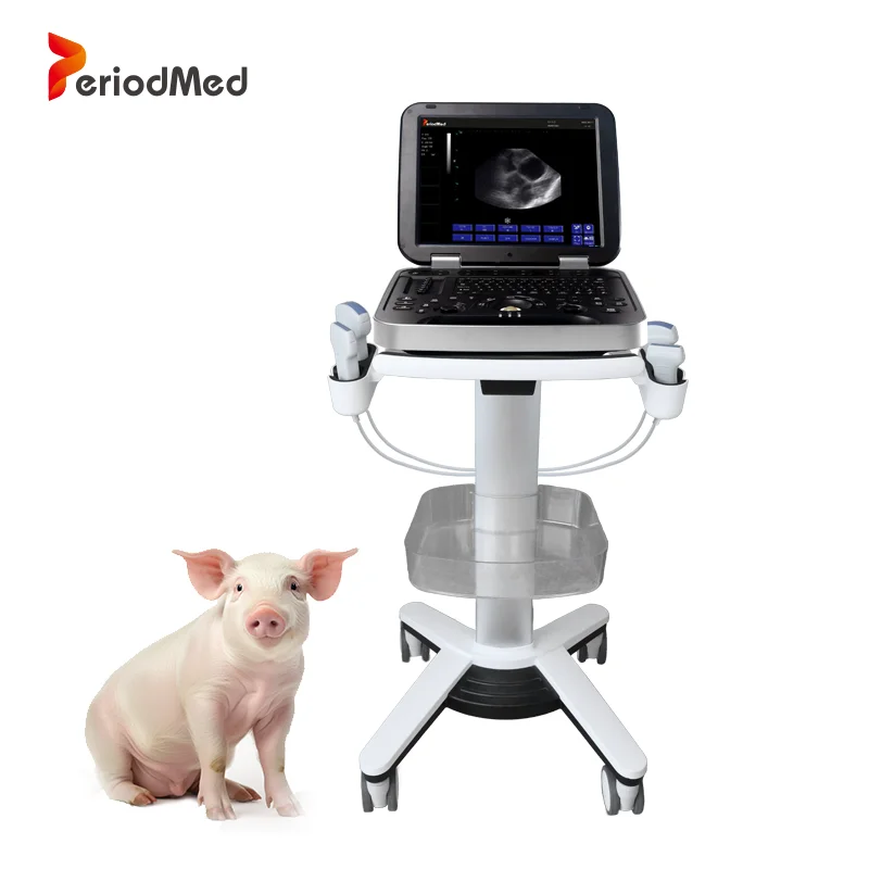 For Medical Doppler Color Laptop Portable Veterinary Ultrasound Scanner 15