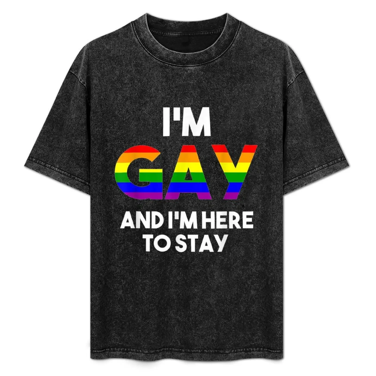 

I'm Gay And I'm Proud Gay Boyfriend Gifts Lgbtq Rainbow Flag T-Shirt affliction shirts vintage t shirts workout shirts for men