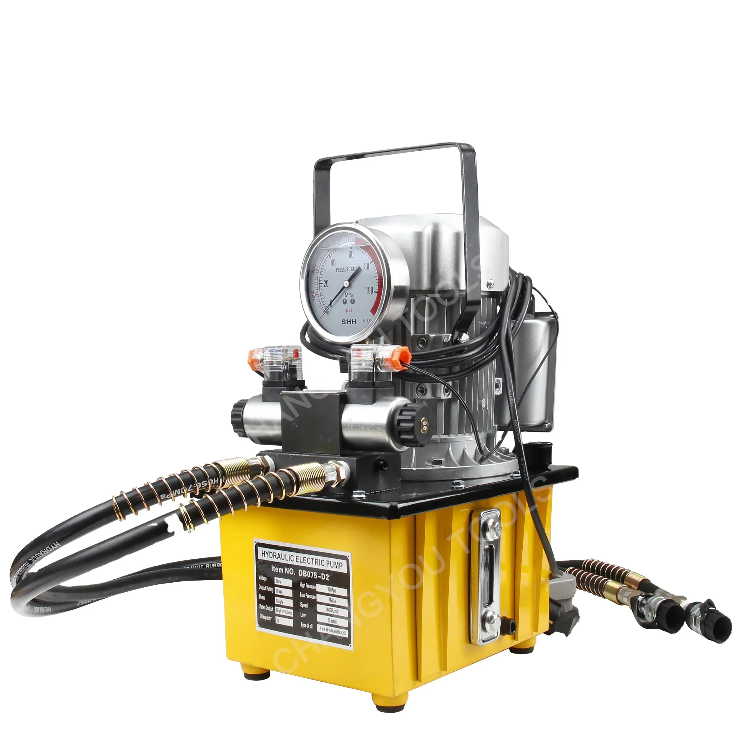 

DB075-D2 Electric Hydraulic Oil Pump 700bar Double-Action Pedal Switch Control Piston Pump Structure For Automotive Industry OEM