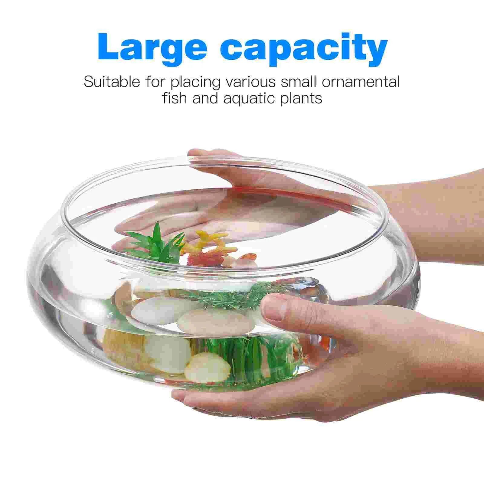 Plant Hydroponic Transparent Landscape Small Fish Tank Turtle Decorative Aquarium Goldfish